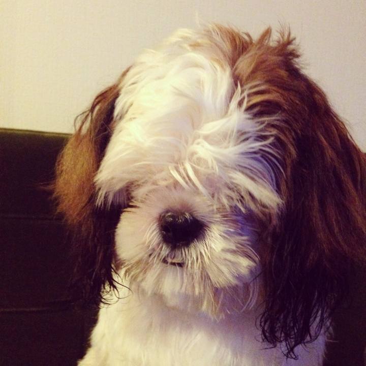 6eae9ff9 f18a 420a aa97 d4123c51b38c