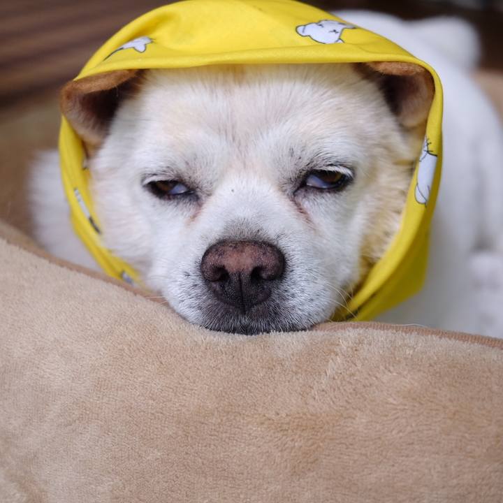 6eaf4051 defa 40d0 9217 ddb3576c786f