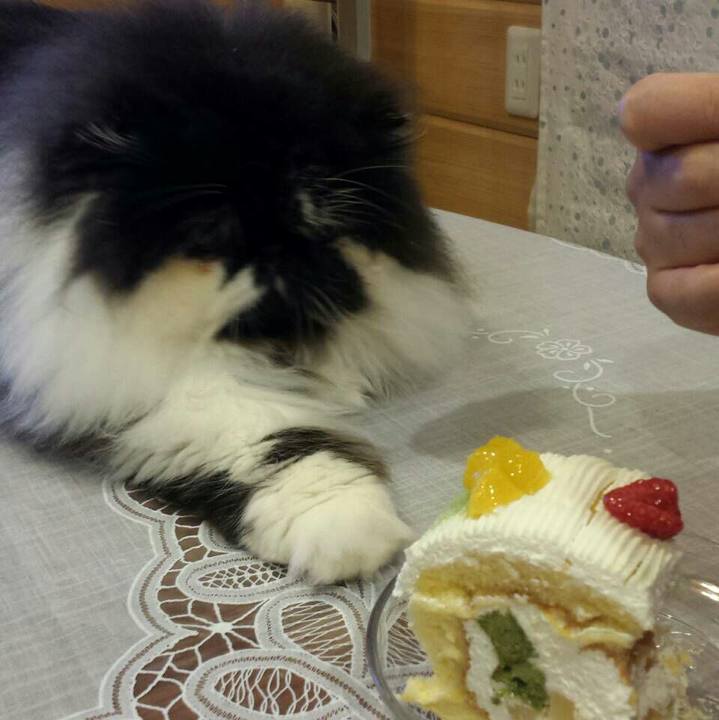 6eafa41e 0dde 467b 92ae e7552974b260