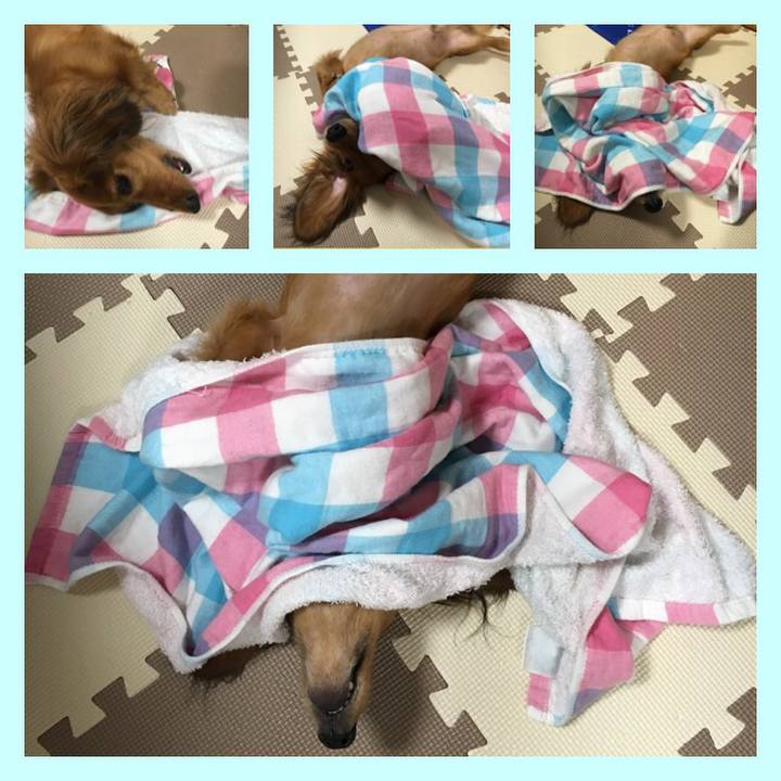 6eafa8e6 a4b5 4cc3 a57d 0486a865404f