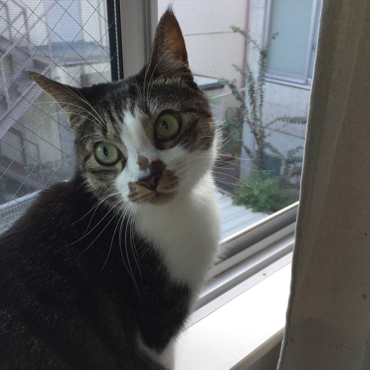 6eafe568 dd6e 483c af07 d7860fb62758