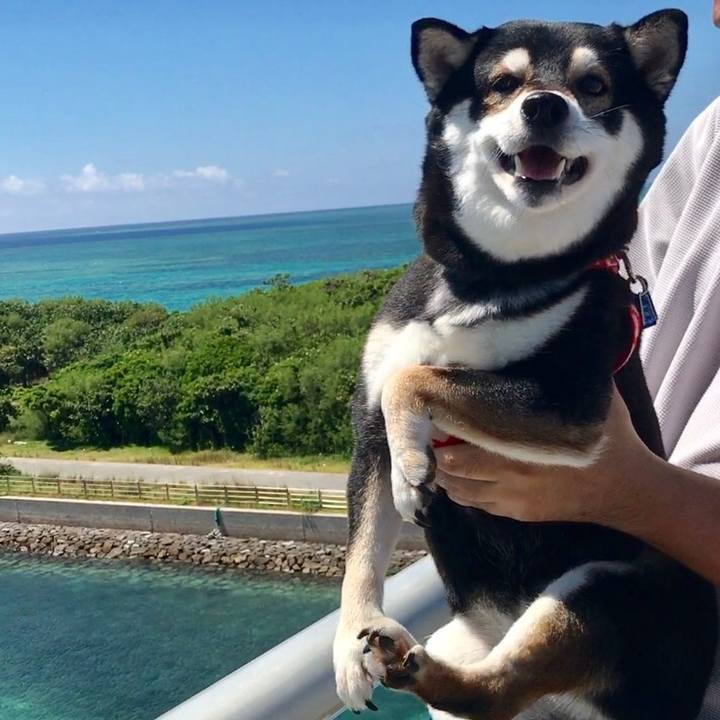 6eb05451 2b2b 4a82 b930 882e03ff9cec