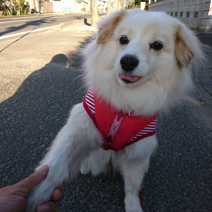 6eb06180 ad0f 47e6 b730 daaf90c720c7