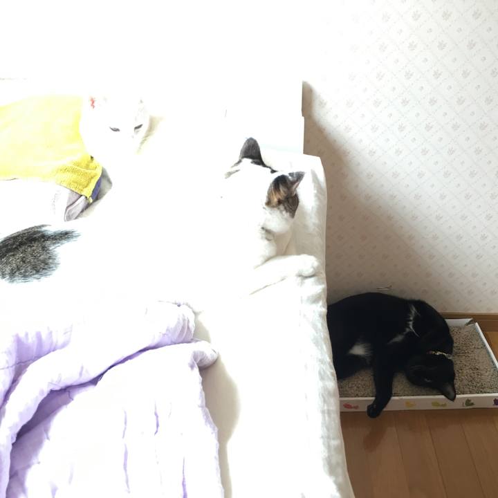 6eb0cf59 8544 46c0 86e3 63069355b6e8