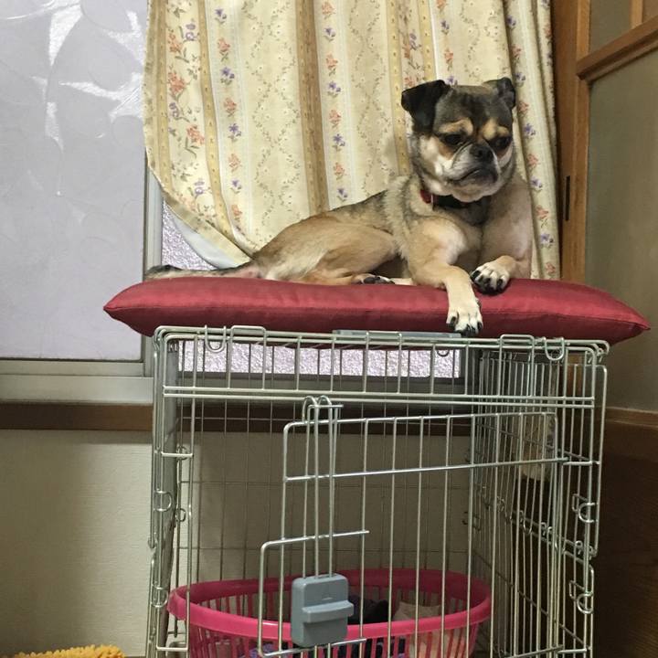 6eb0fe0f de16 4177 a798 6242d3c73652