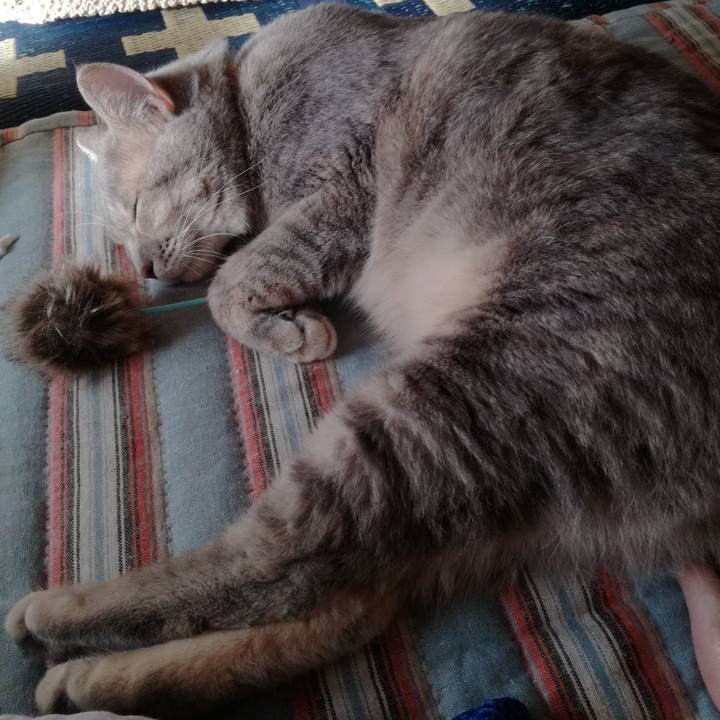 6eb1c976 4c7e 4e82 9a60 ee8891871559