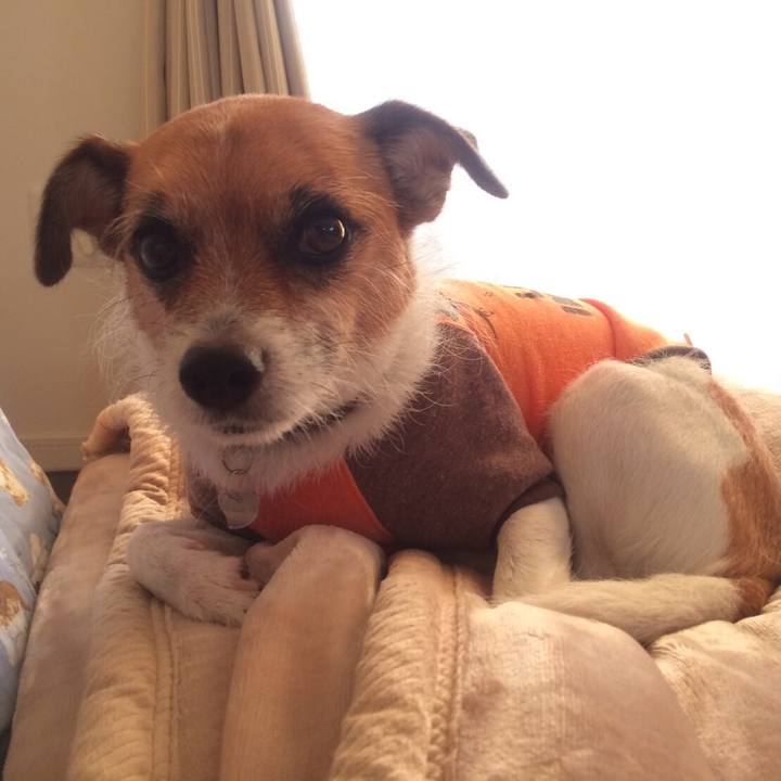 6eb28b86 76b1 49f1 ac28 ec1d5a1ec966