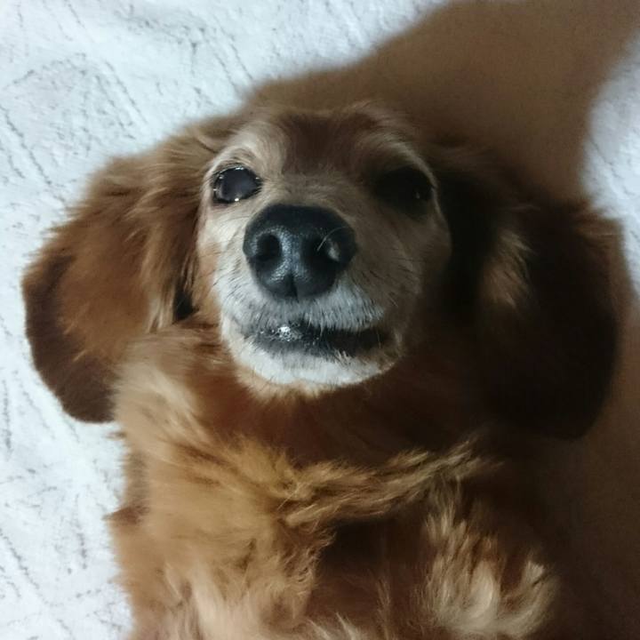 6eb2a4ce 9251 4965 812c aca7c6872438