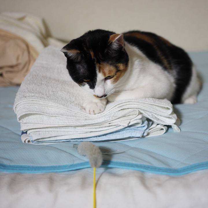 6eb3d079 2a4e 4d89 aa96 ad386a9587c3