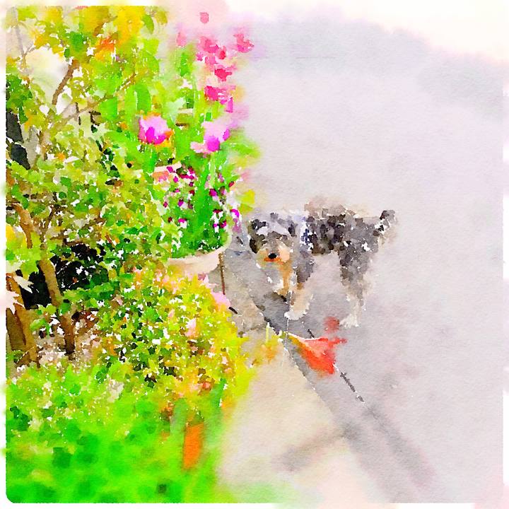 6eb438b5 fe18 4168 b0e3 d8eef6277481