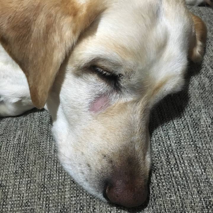 6eb44f18 1f36 4c69 9522 55fdebcc20fa