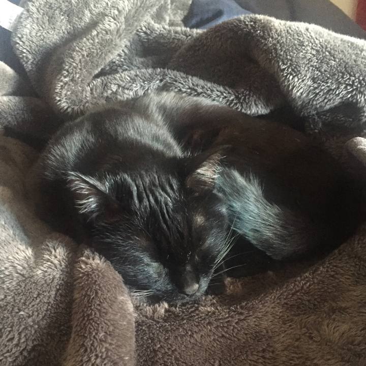 6eb46de9 fcad 4d99 b620 9051a7d07089