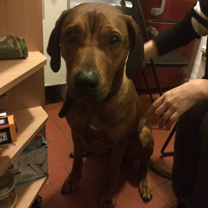 6eb51642 75b6 4b32 8391 05074bf13d7d