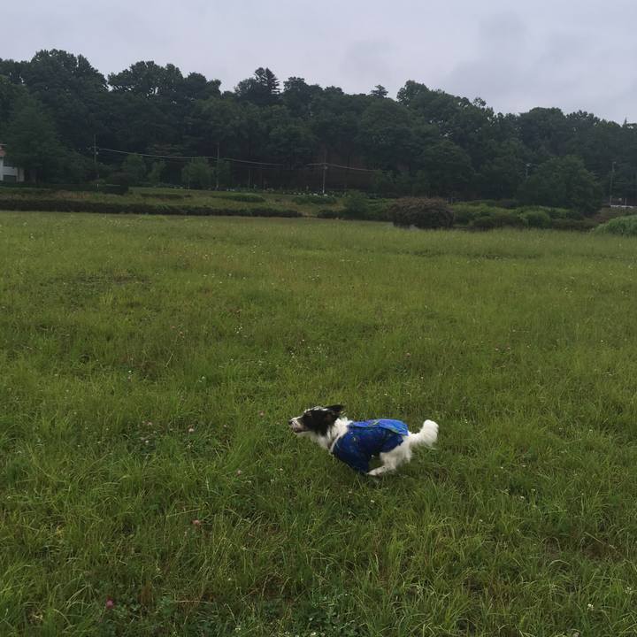 6eb53e30 f217 4530 955e 6654a4fc11e8