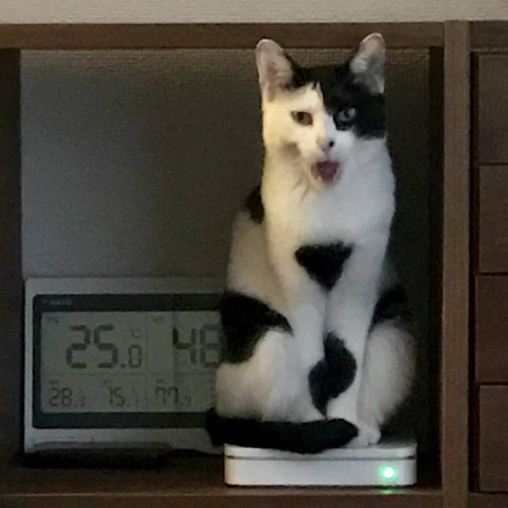 6eb5b321 ce35 4742 8c81 965650cecec0