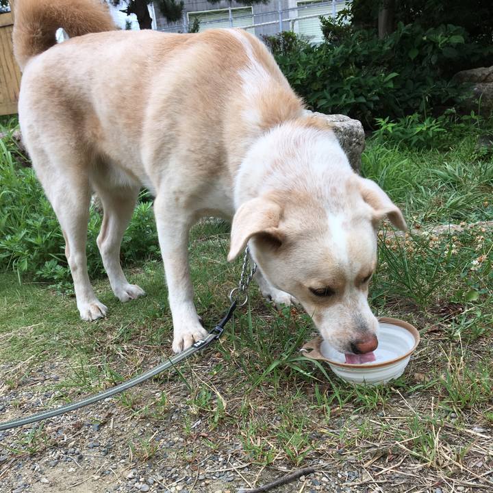 6eb5f778 33c1 409b a622 b2801c770753