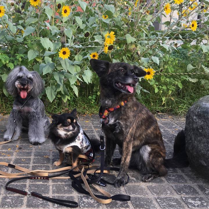 6eb617d7 f726 4211 a568 25aeab3d78bf