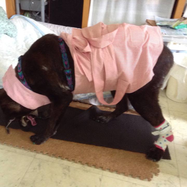 6eb64c44 71c3 46c4 9abe 796543033134