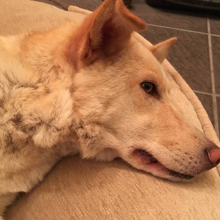 6eb6a289 b5aa 42c9 9cff a1e65a9eb605