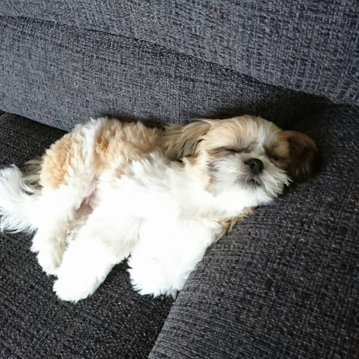 6eb78274 c7f7 413c ab8f 8ea0b1875982