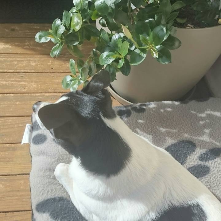 6eb86402 fb32 43b1 a27c 57705a6ea52b