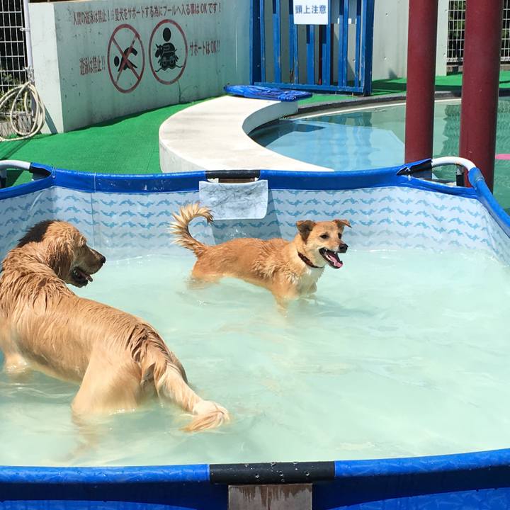 6eb882ec 002c 44d3 84d0 c9698304b634