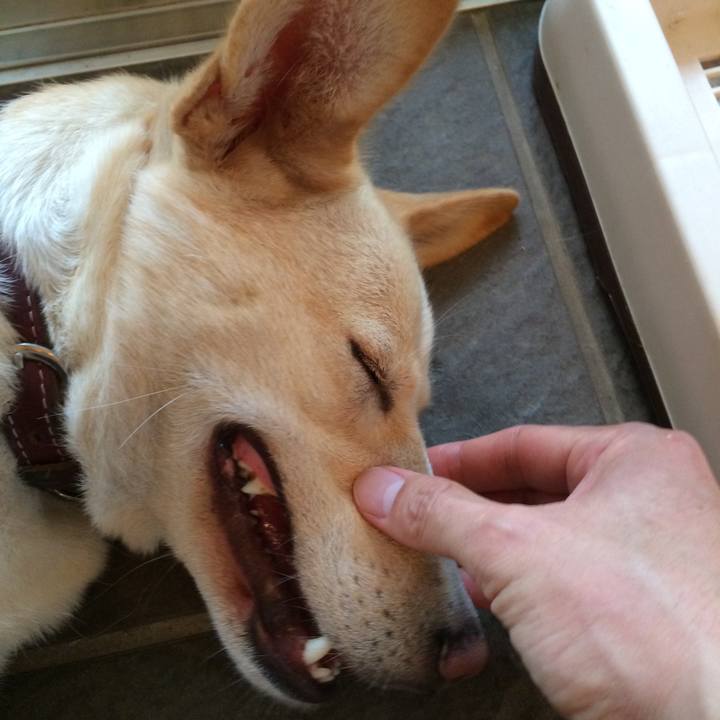 6eb90947 b537 46b3 ab02 237c7533db29