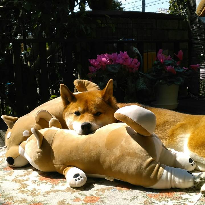 6eb9835b 2f2d 4776 948f 5804a302ed14