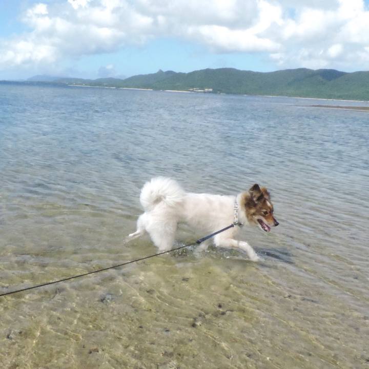 6eba4623 eca9 4368 96c8 a8af6145d09a