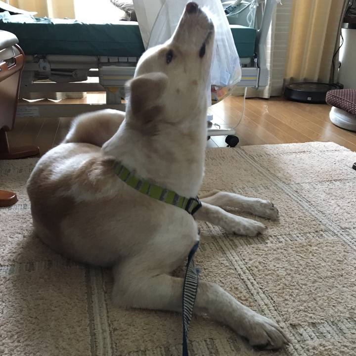 6eba824a 7869 4d12 b74d f06c77730549