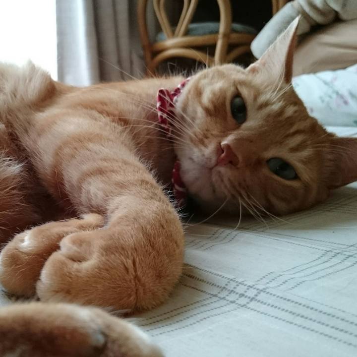 6ebabbfe 09ff 4a71 8abb c96dbf845bd4