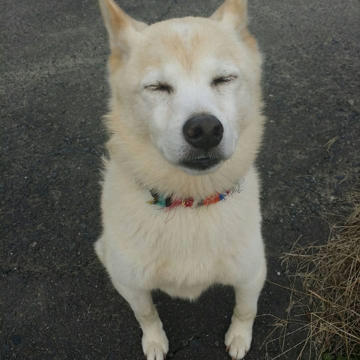 6ebae07e 8a4f 4f5c 910d 61d2372a70c2