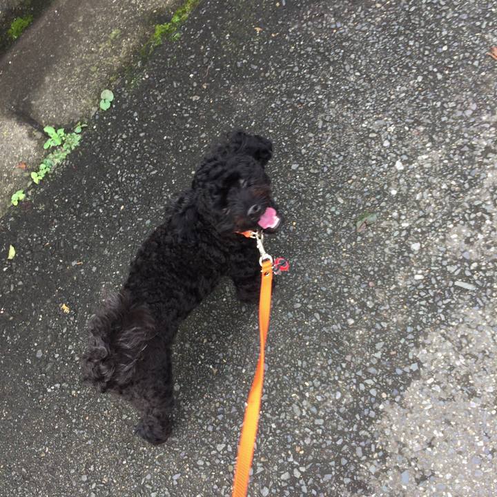 6ebaed7b 107f 476d 8141 19b1f232e1ea