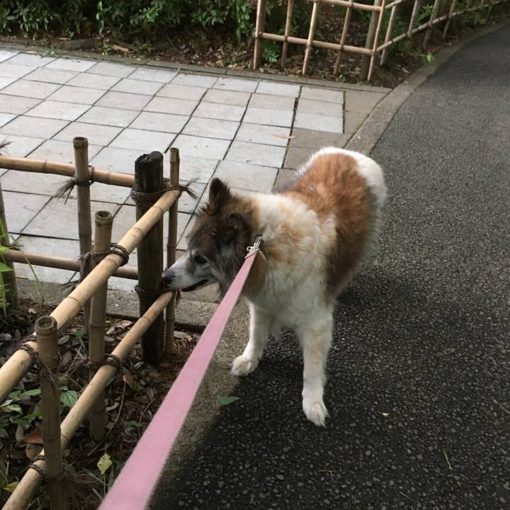 6ebbbf57 823e 4153 94e8 a104dfdb8265