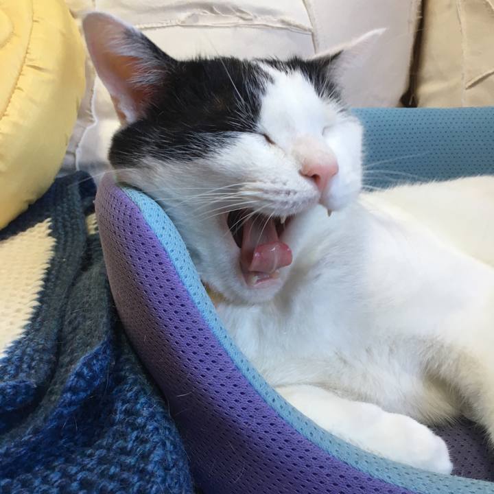 6ebc2355 1857 4f5a 80e8 c22c3ca2bda3