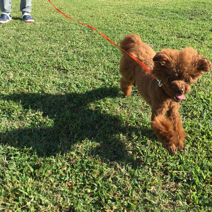 6ebc295c 9238 41d7 bd13 b2e23f38eb6c