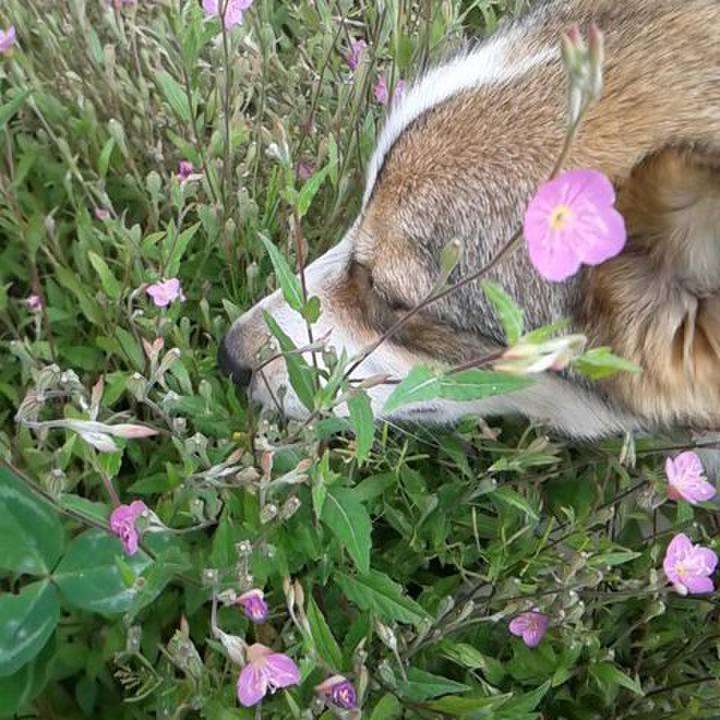 6ebc6956 b326 4502 9f26 7d69db2ca54f