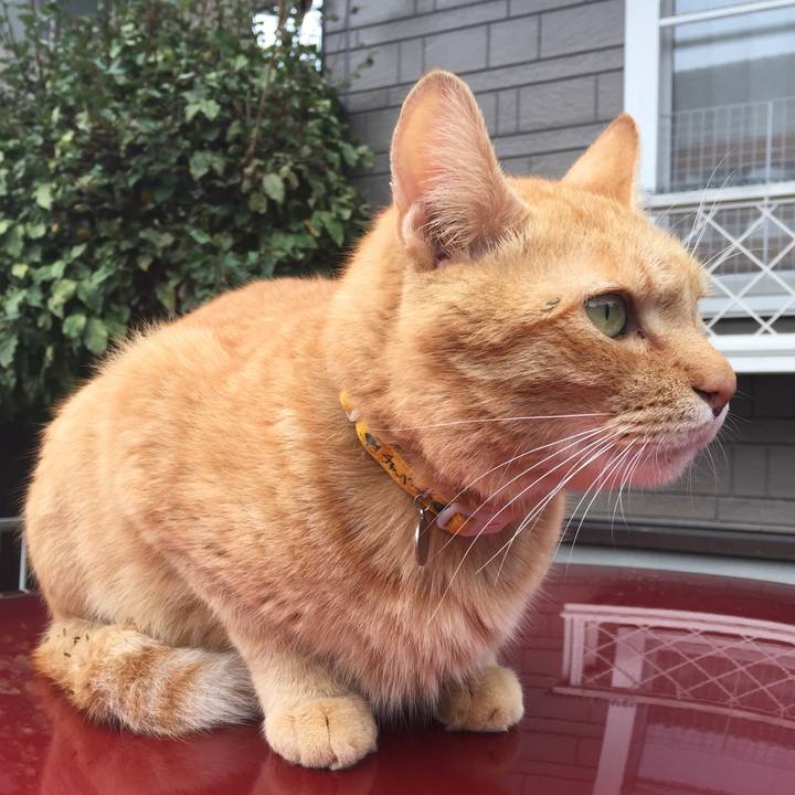 6ebc7039 0d18 499f 92f7 40328069a366