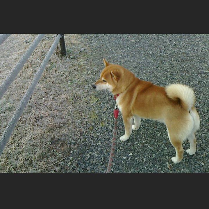 6ebca4bd 7ada 47dd 979f ab69b0849a64