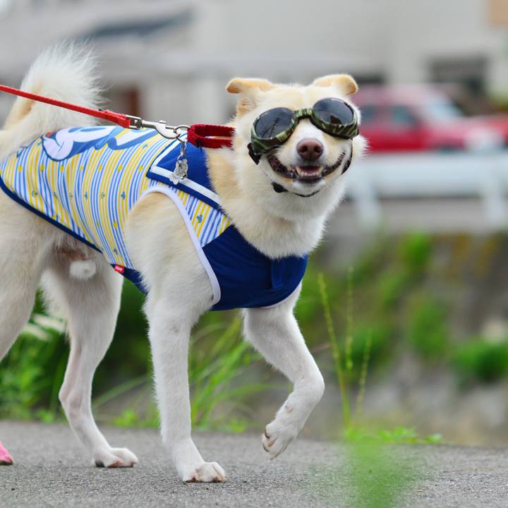 6ebd0e8f fa39 4859 a071 db59c9020b60