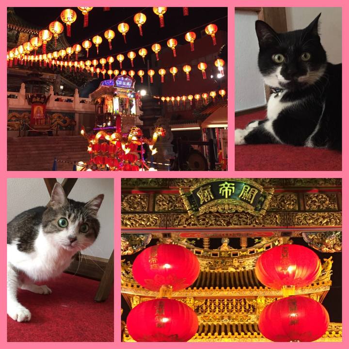 6ebd2f12 78d9 4158 9f13 d08006a713d8