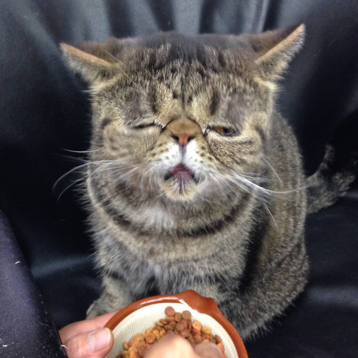 6ebd3a94 2d04 41b7 8103 27931cd20803