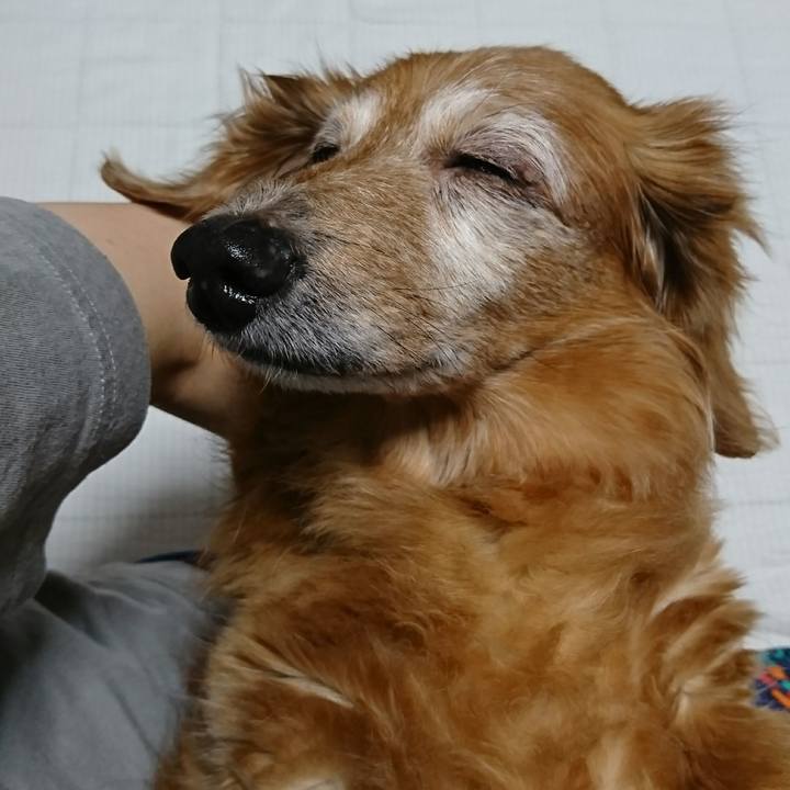 6ebdcd8a 8e3a 4d9a b2d7 1cdc5b4b9f02