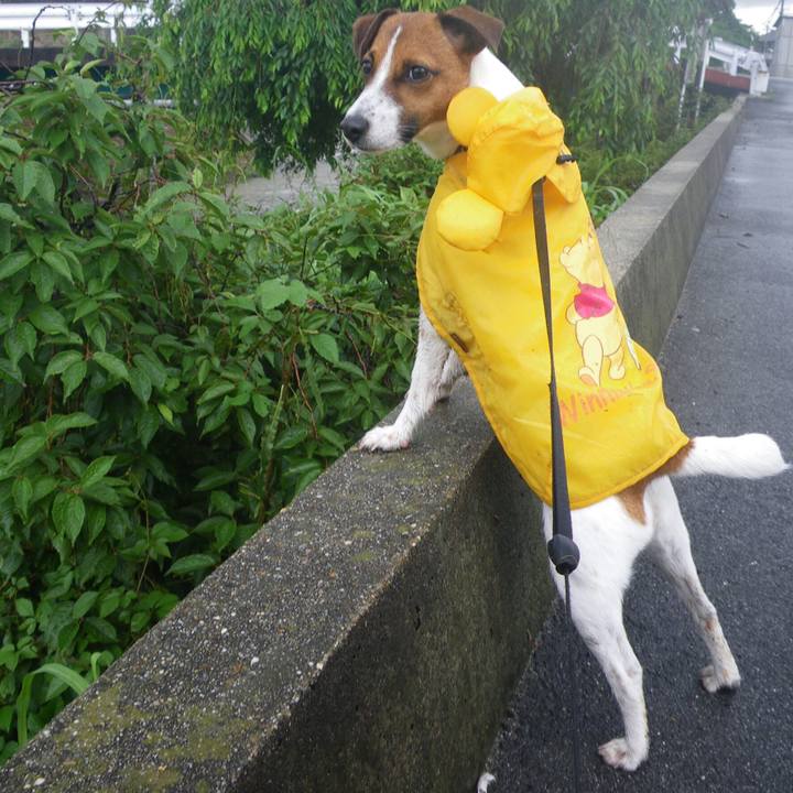 6ebe5ae5 63ec 414e 8ab1 5b97b33e10a1