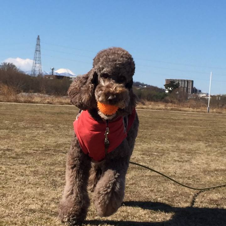 6ebe6751 3a34 4370 809d 078d55566a9b