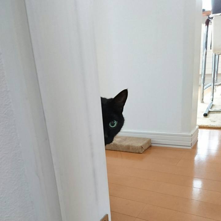 6ebe94eb 3ce7 4206 8145 fef2811c4f2c