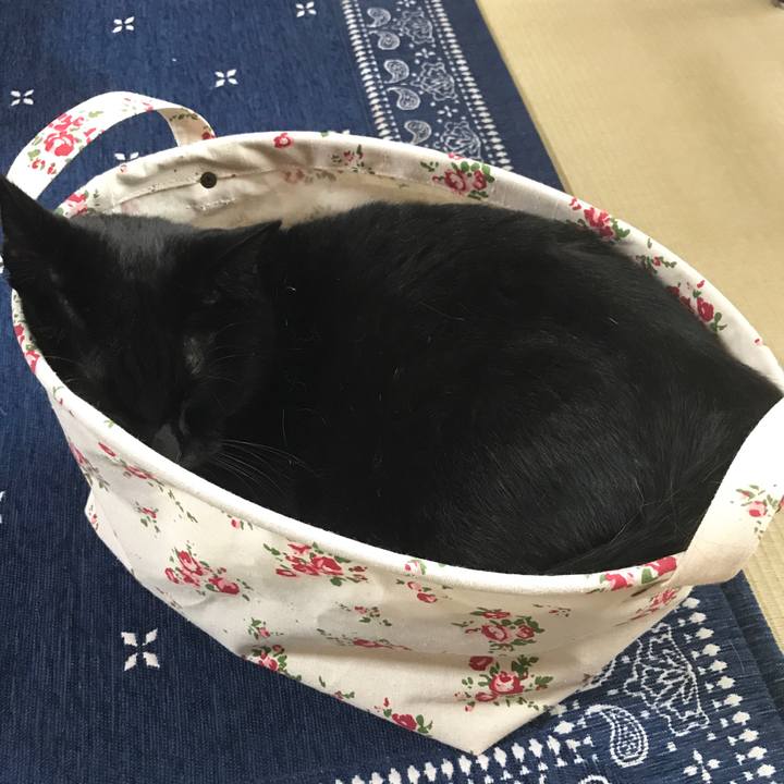 6ebe96dd 212b 4d80 862a 577473ac3787