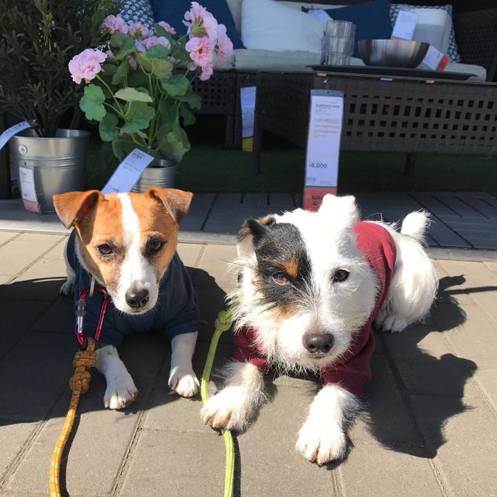 6ebecf7c b199 414e b40c 2690e6adc45b