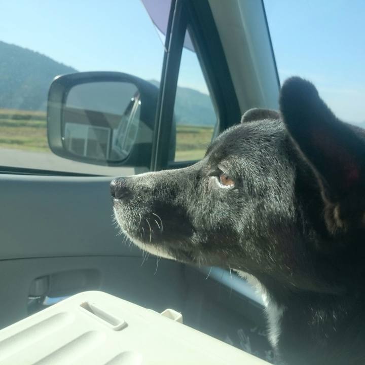 6ebf2217 ebc6 4b81 9c65 61a57d4f3de5