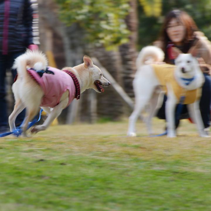 6ebf2f6c 3ff2 48ad be6c 0bc7c575cd53